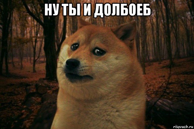 ну ты и долбоеб , Мем SAD DOGE