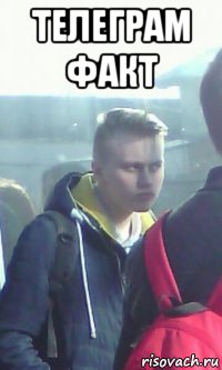 телеграм факт 