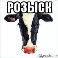 розыск 
