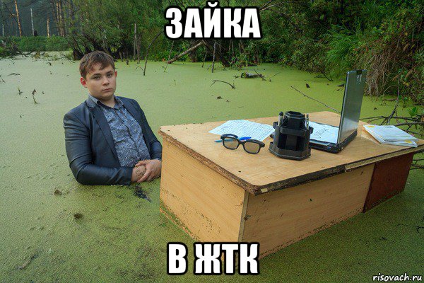 зайка в жтк