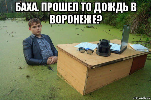 баха. прошел то дождь в воронеже? 
