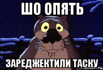 шо опять зареджектили таску