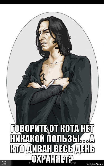  говорите от кота нет никакой пользы. . . а кто диван весь день охраняет?