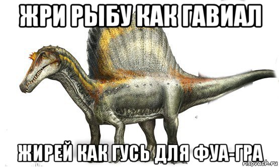 жри рыбу как гавиал жирей как гусь для фуа-гра