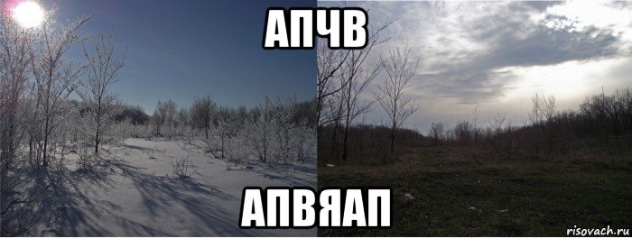 апчв апвяап