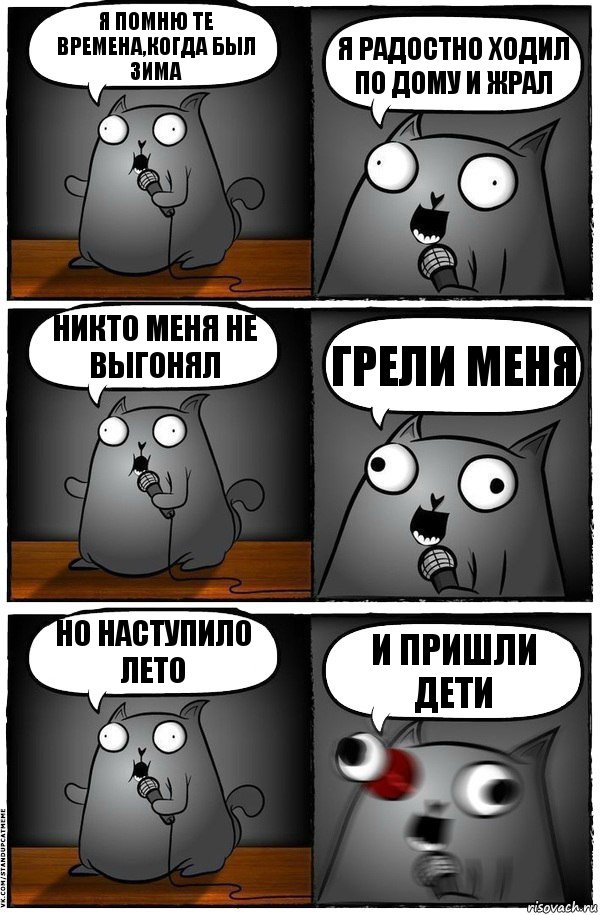 Я помню те времена,когда был зима Я радостно ходил по дому и жрал Никто меня не выгонял Грели меня но наступило лето И пришли дети