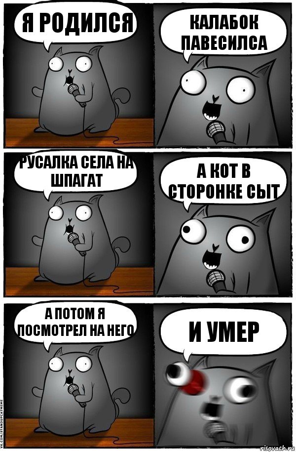 Я РОДИЛСЯ КАЛАБОК ПАВЕСИЛСА Русалка села на шпагат А КОТ В СТОРОНКЕ СЫТ А потом я посмотрел на него И УМЕР