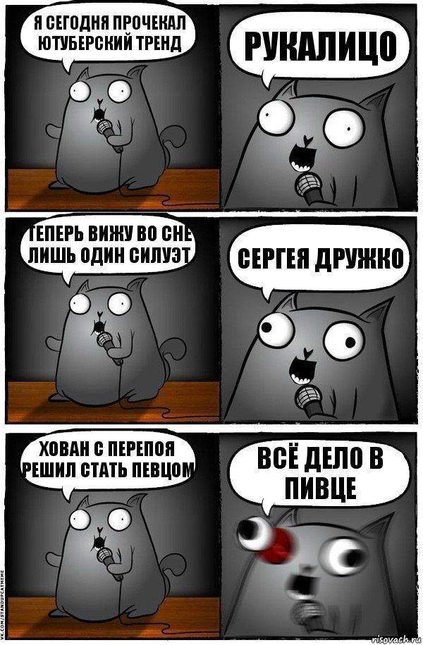 Я сегодня прочекал ютуберский тренд РУКАЛИЦО Теперь вижу во сне лишь один силуэт СЕРГЕЯ ДРУЖКО Хован с перепоя решил стать певцом ВСЁ ДЕЛО В ПИВЦЕ, Комикс  Стендап-кот