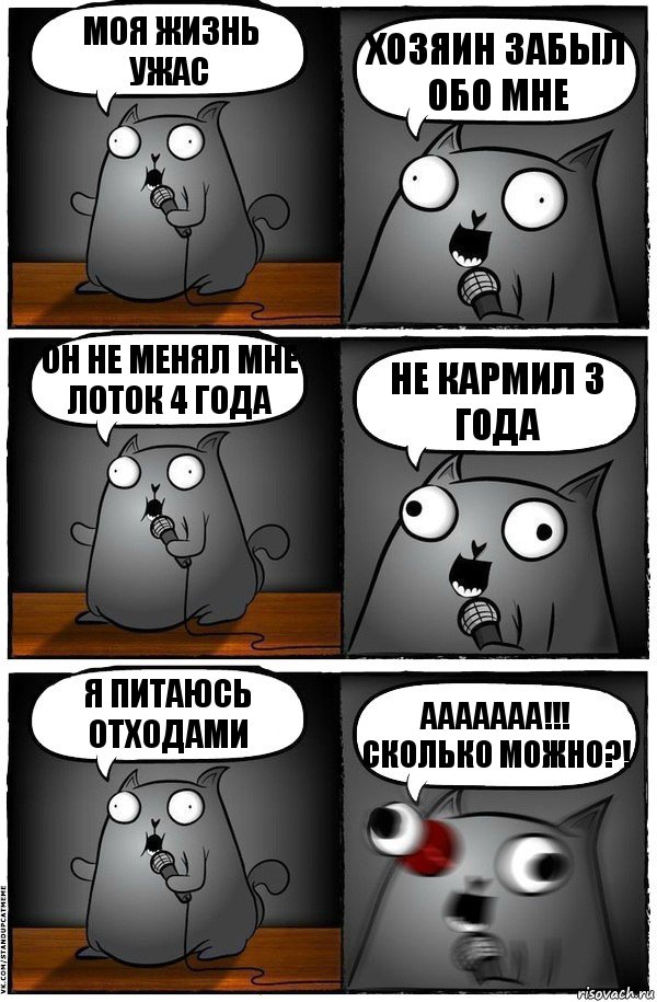 моя жизнь ужас хозяин забыл обо мне он не менял мне лоток 4 года не кармил 3 года я питаюсь отходами ААААААА!!! Сколько можно?!, Комикс  Стендап-кот