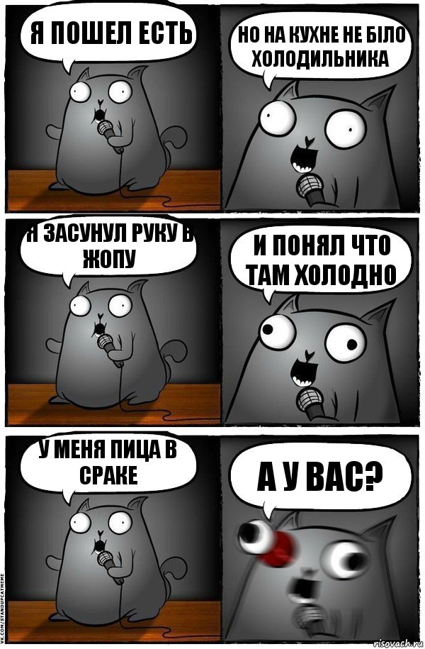 я пошел есть но на кухне не біло холодильника я засунул руку в жопу и понял что там холодно у меня пица в сраке а у вас?, Комикс  Стендап-кот