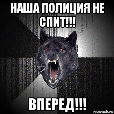 наша полиция не спит!!! вперед!!!