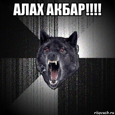 алах акбар!!!! , Мем Сумасшедший волк