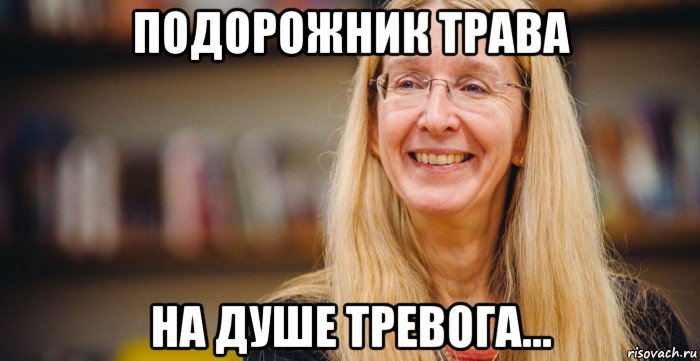 подорожник трава на душе тревога...