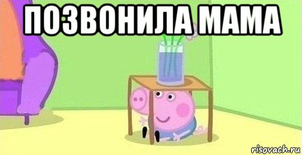 позвонила мама 