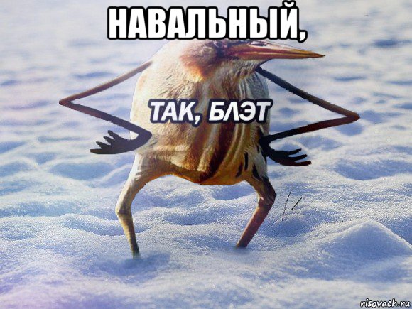 навальный, , Мем  Так блэт птица с руками
