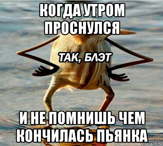 когда утром проснулся и не помнишь чем кончилась пьянка