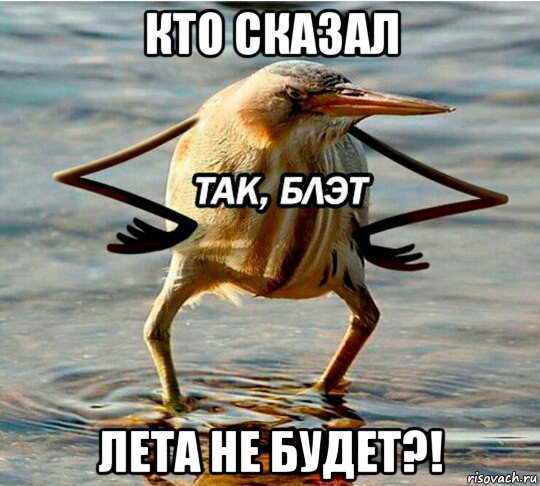 кто сказал лета не будет?!