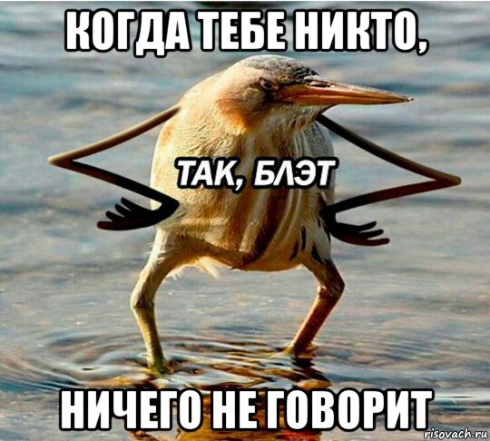 когда тебе никто, ничего не говорит