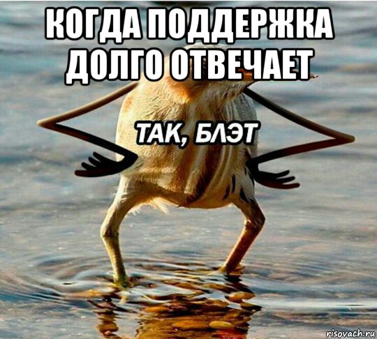 когда поддержка долго отвечает 
