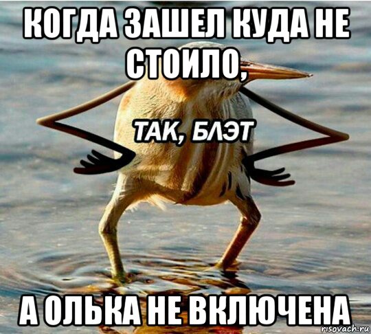 когда зашел куда не стоило, а олька не включена