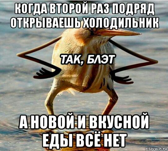 когда второй раз подряд открываешь холодильник а новой и вкусной еды всё нет