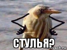  стулья?
