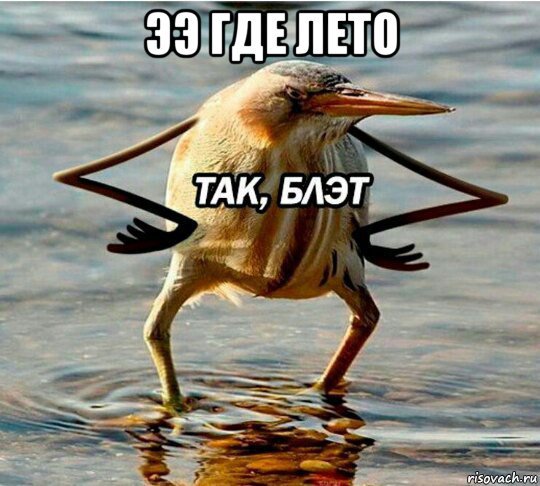 ээ где лето 