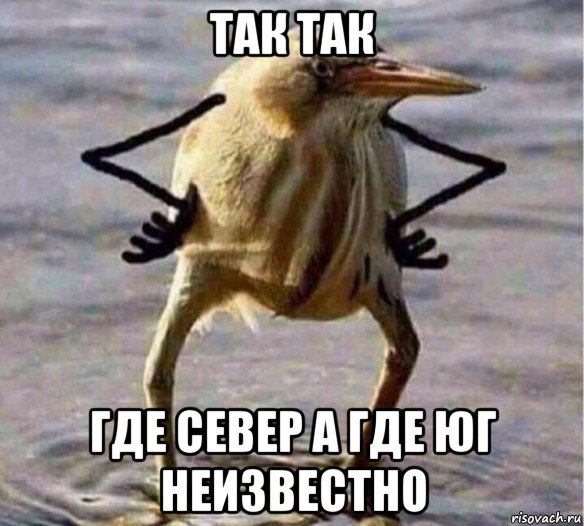 так так где север а где юг неизвестно, Мем Так Блэт