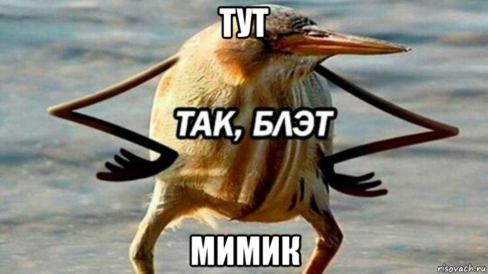 тут мимик