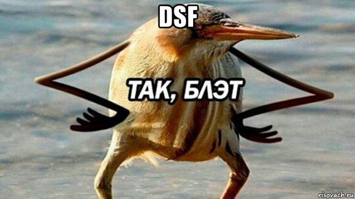 dsf 