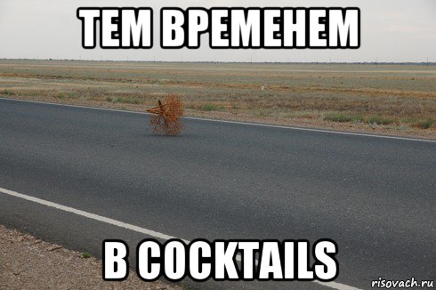 тем временем в cocktails, Мем тем временем