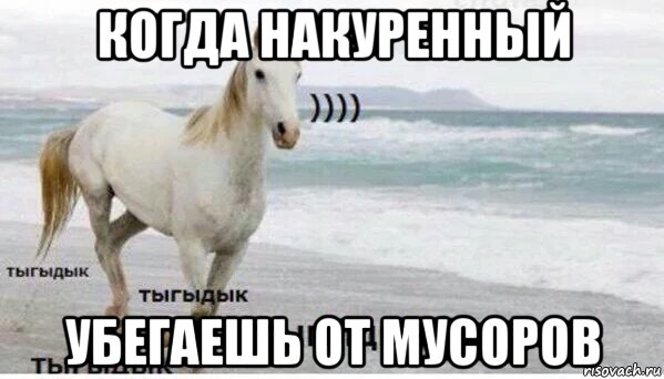 когда накуренный убегаешь от мусоров, Мем   Тыгыдык