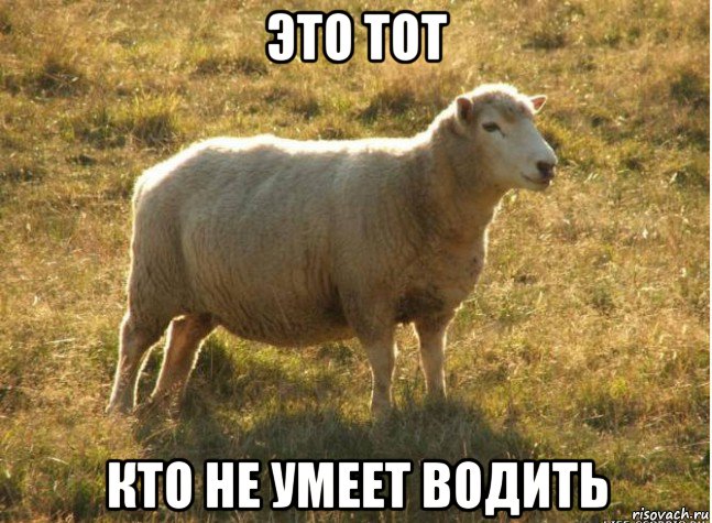 это тот кто не умеет водить