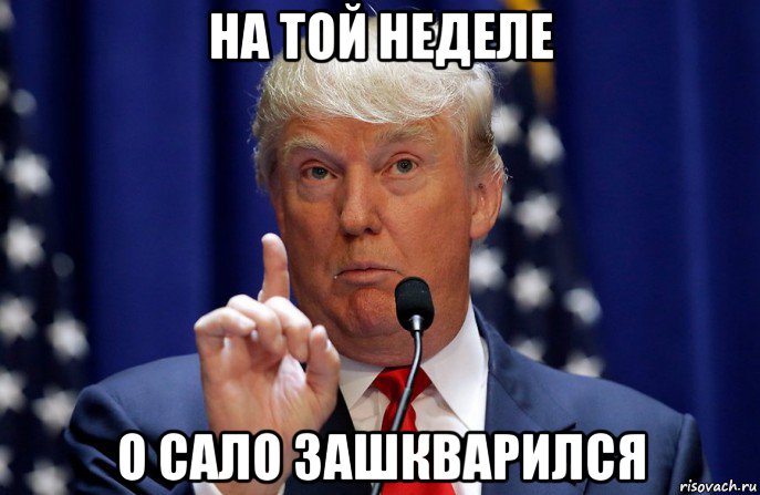 на той неделе о сало зашкварился