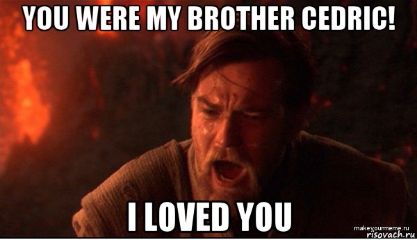 you were my brother cedric! i loved you