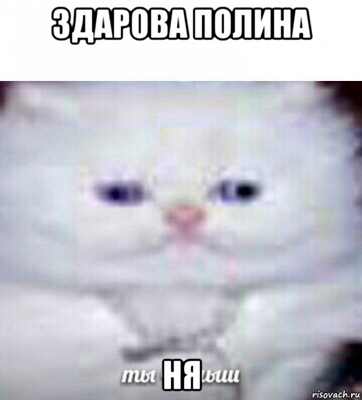 здарова полина ня