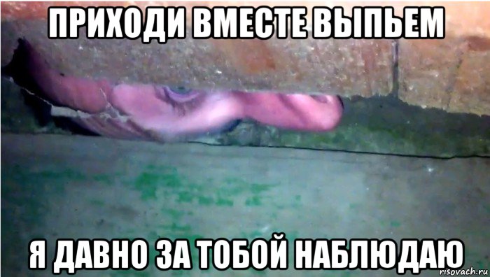 приходи вместе выпьем я давно за тобой наблюдаю