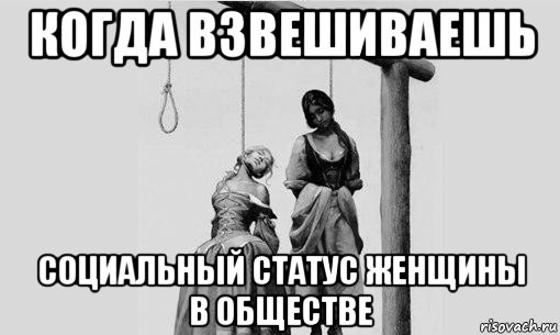 когда взвешиваешь социальный статус женщины в обществе, Мем тёлки