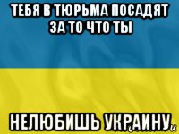 тебя в тюрьма посадят за то что ты нелюбишь украину