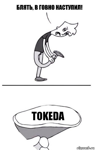 ToKeDa, Комикс В говно наступил