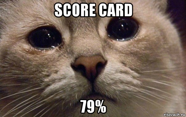 score card 79%, Мем   В мире грустит один котик