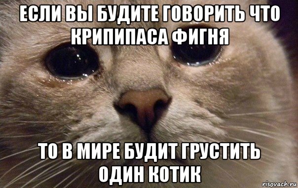 если вы будите говорить что крипипаса фигня то в мире будит грустить один котик, Мем   В мире грустит один котик
