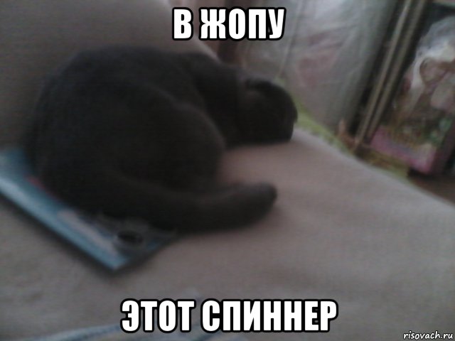 в жопу этот спиннер, Мем В жопу спиннер