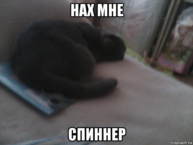 нах мне спиннер, Мем В жопу спиннер