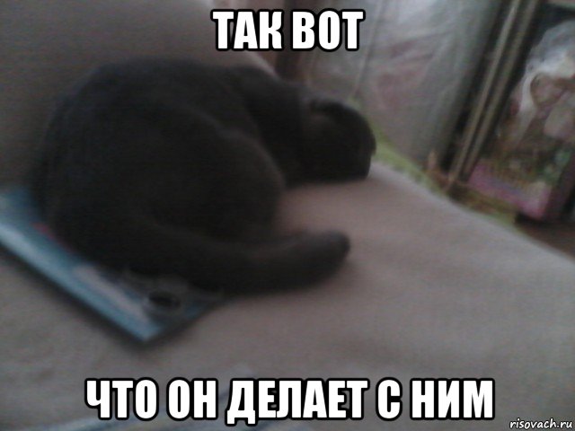 так вот что он делает с ним, Мем В жопу спиннер