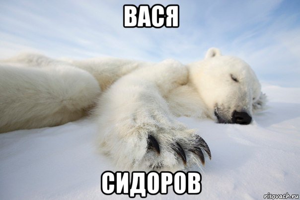 вася сидоров, Мем Вася