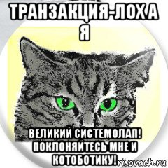 транзакция-лох а я великий системолап! поклоняйтесь мне и котоботику!, Мем ВО СЛАВУ СИСТЕМОЛАПА