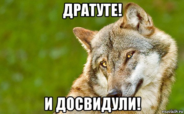 дратуте! и досвидули!, Мем   Volf