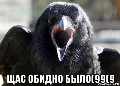  щас обидно было(99(9, Мем ворона