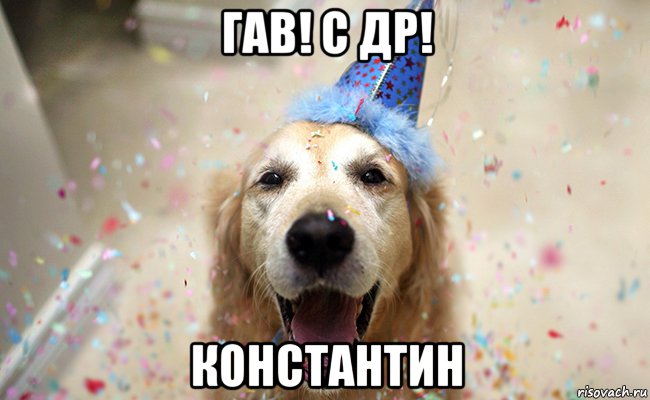 гав! с др! константин, Мем Выфф